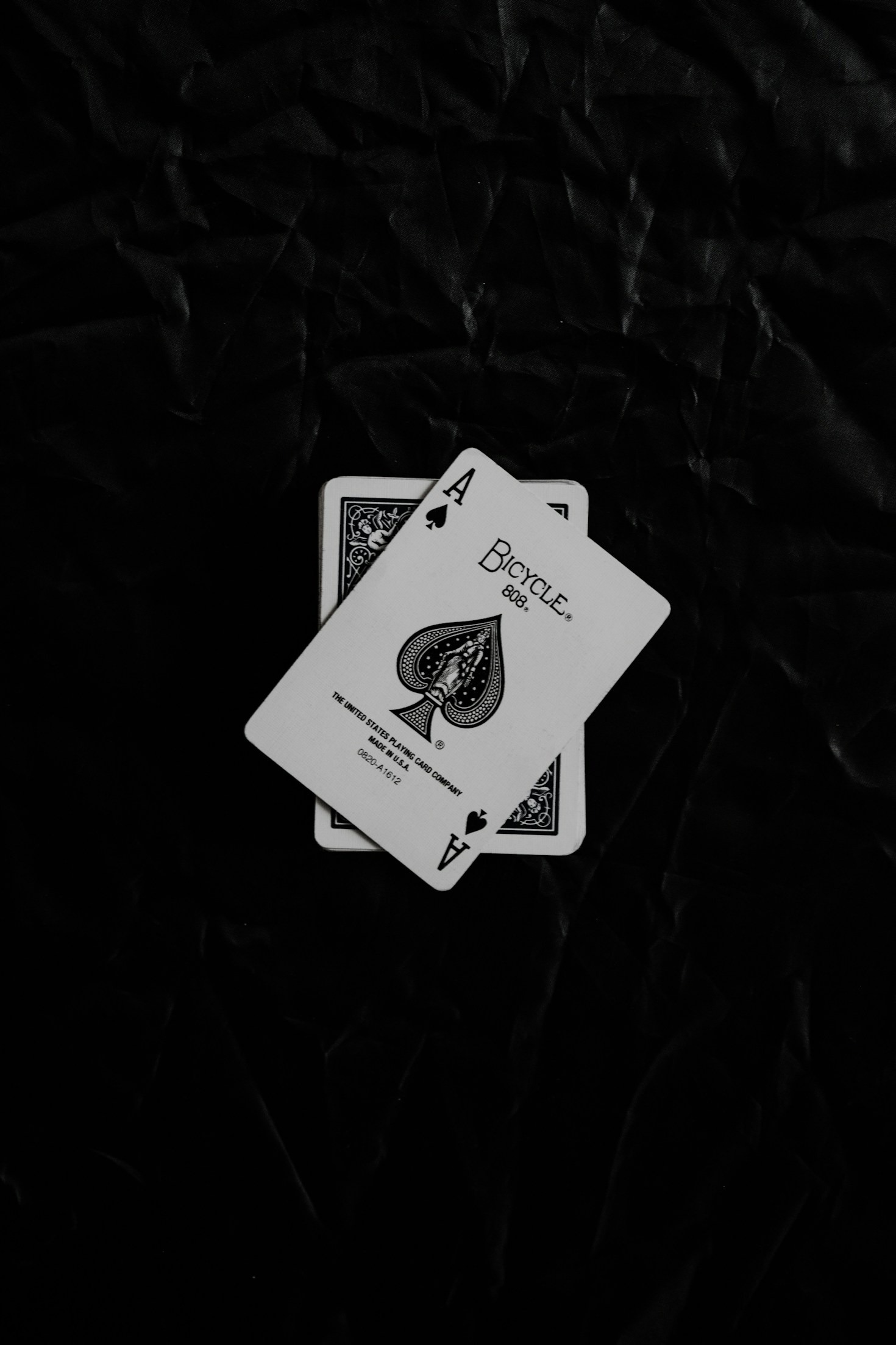 How to Stay Ahead in the Carding Scene